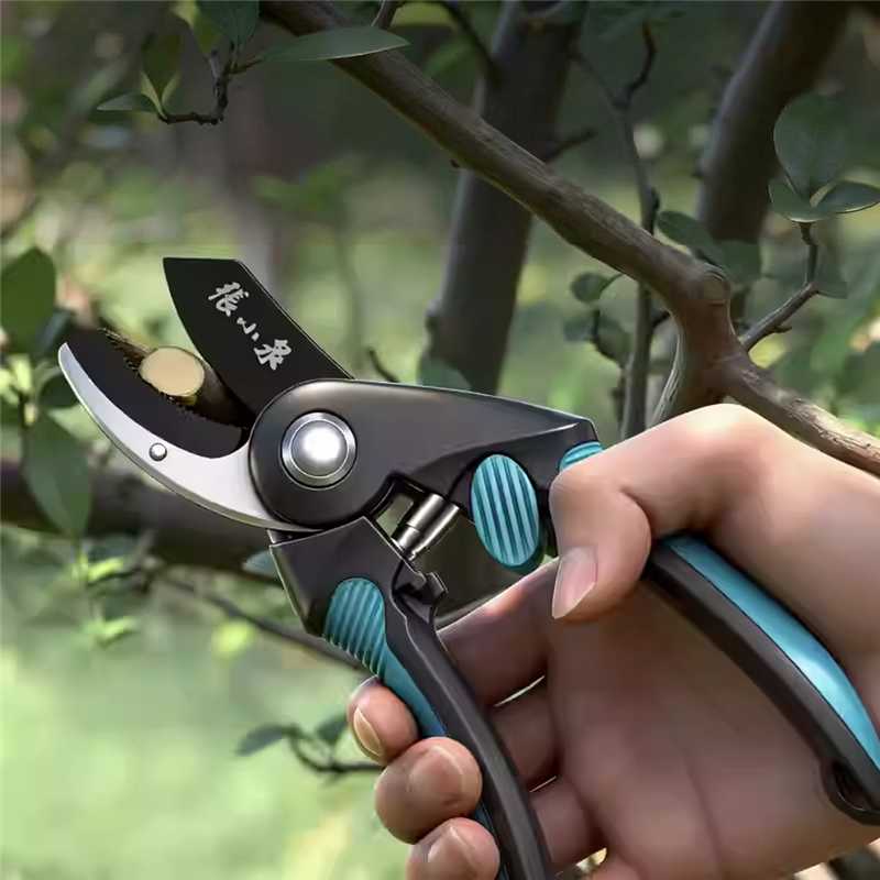 Zhang XiaoQuan Spring Joy Series - Professional Pruning Shears