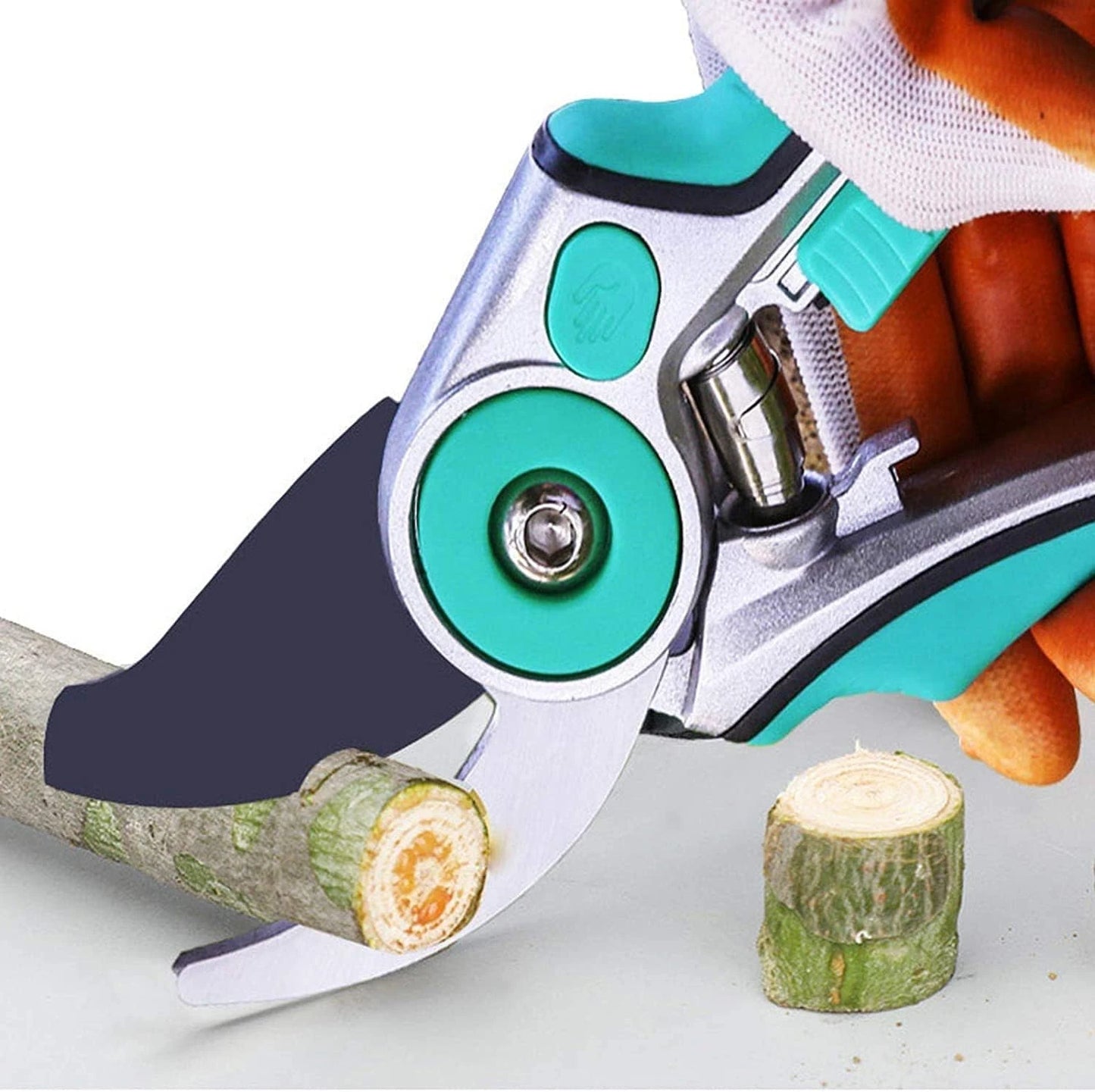 Garden Tool Deluxe Gift Box Set - Spring Joy Series by Master Z