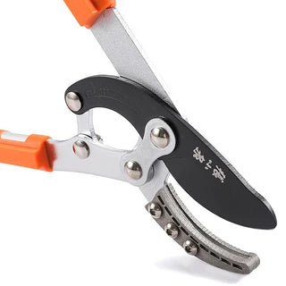 Long-handled bypass lopper/pruner Autumn Series - Master Z